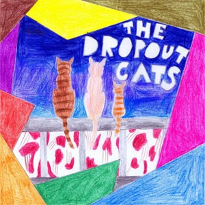 dropout cats cover