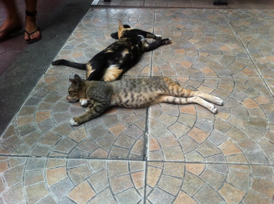 Banglamphu