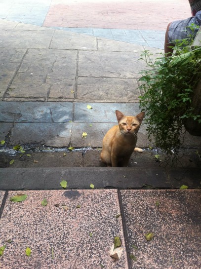 Thanon Khao San