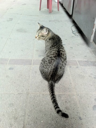 asoke station
